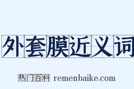 外套膜近义词是什么意思的图片